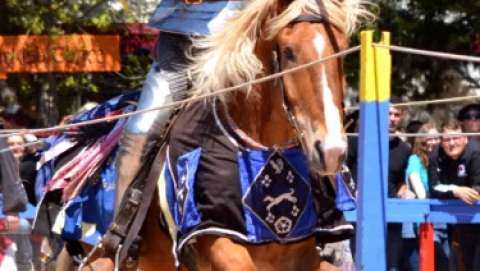 Shrewsbury Renaissance Faire