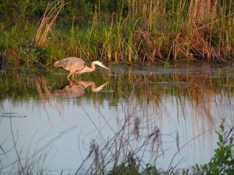 Amazing reflection