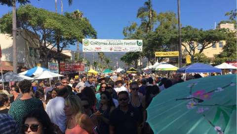 California Avocado Festival