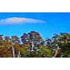 Mother nature is beautiful