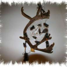 Caribou Dream Catcher