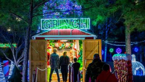 The Great Christmas Light Show