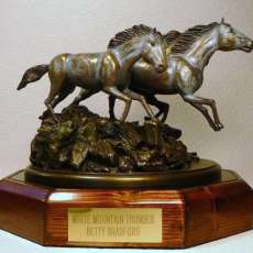 "White Mountain Thunder"