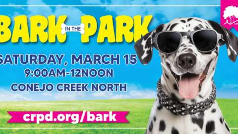 Bark in the Park