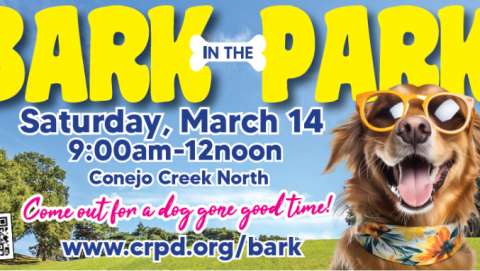 Bark in the Park
