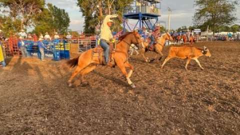 Cedar County Fair