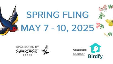 Spring Fling