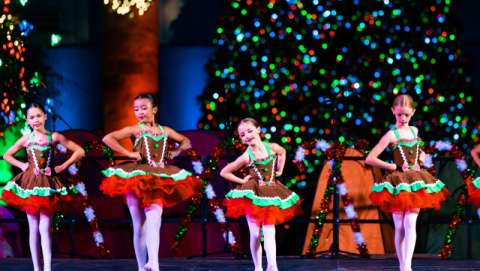 Marana Holiday Festival & Christmas Tree Lighting