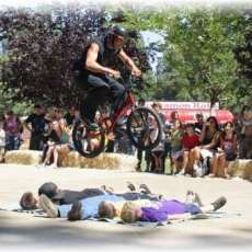 Bunny Hop Volunteers