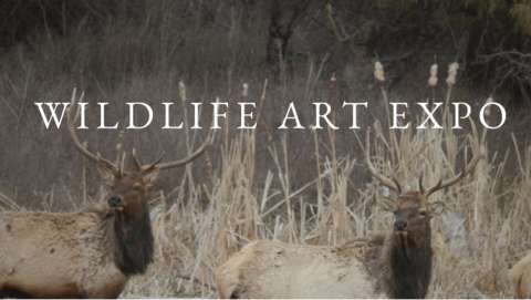 Wildlife Art Expo