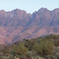 Four Peaks in Purple