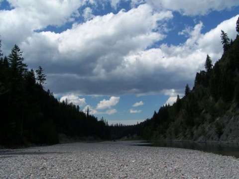 Flathead River