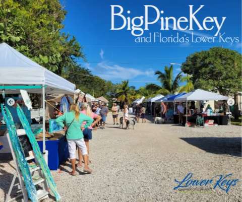 🏝️ The Island Art Festival Calling For Artists and Food Vendors