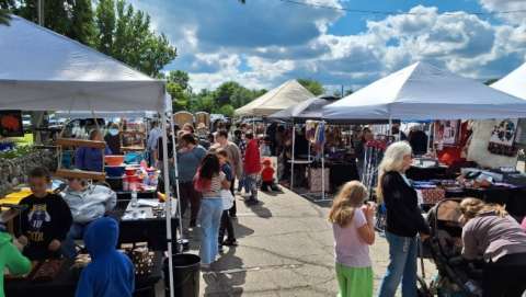 Boxelder Bug Days