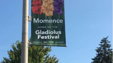 Gladiolus Festival
