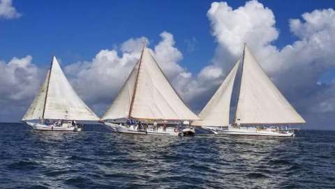 Deal Island Skipjack Races and Festival