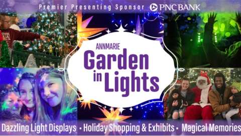 Annmarie Garden in Lights