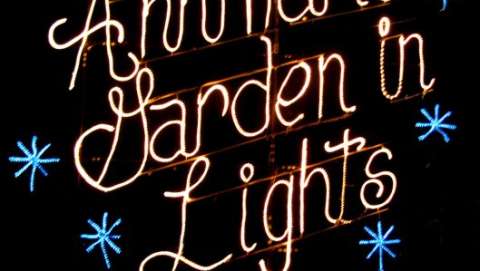Annmarie Garden in Lights