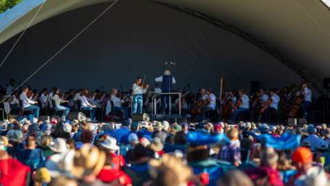 Opening Night: From the Stage to the Silver Screen