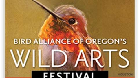 Wild Arts Festival