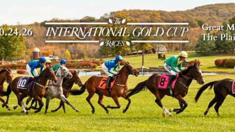International Gold Cup