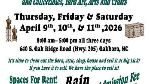 Big Lick Spring Market