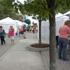 Mount Clemens Art Fair IV