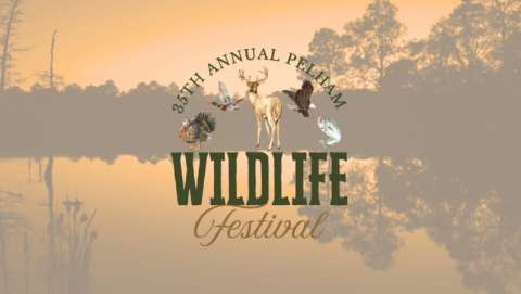 Pelham Wildlife Festival