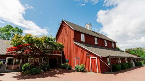 Issaquah Farmers Market - August