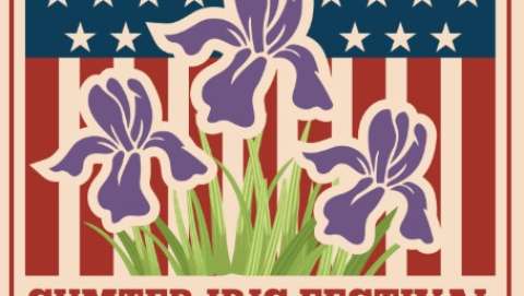 Iris Festival