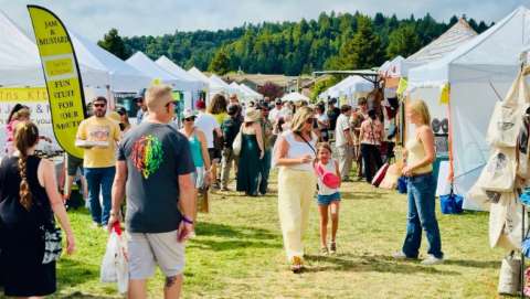 Scotts Valley Art and Beer Festival