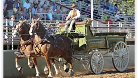 Art at the Classic (At the Draft Horse Classic)