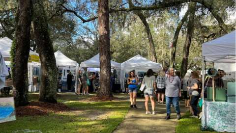Temple Terrace Arts & Crafts Festival