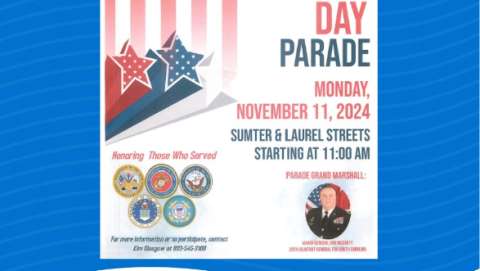 Veterans Day Parade