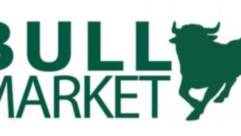Bull Market - Fall