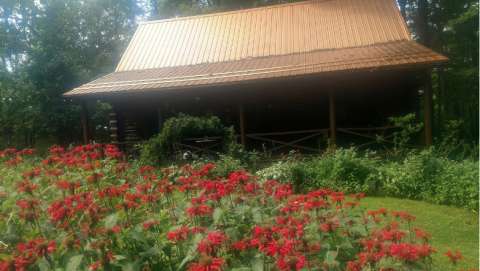 Christmas at the Log Cabin