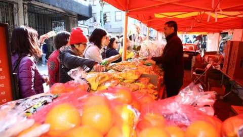 Chinese New Year Flower Market Fair
