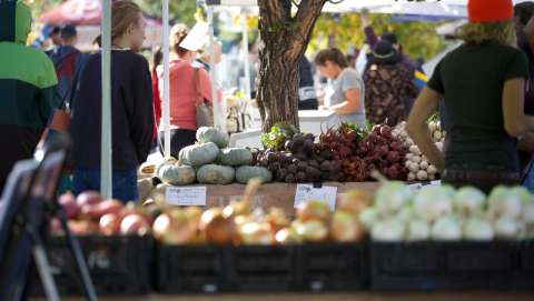 Longmont Farmers Market - September