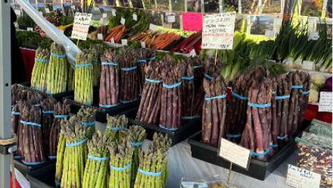 Burien Farmers Summer Market - July