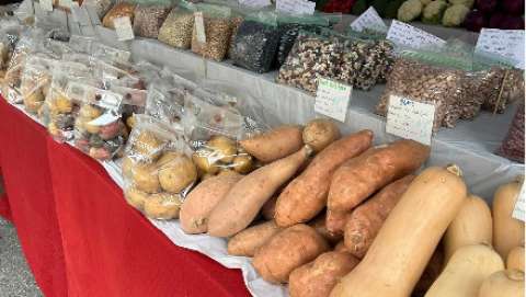 Burien Farmers Summer Market - October