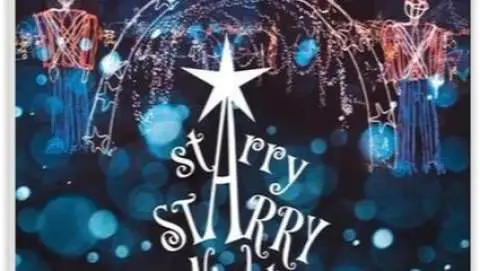 Starry Starry Nights Lighted Christmas Park