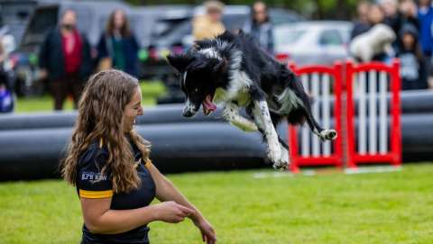 Auburn's Petpalooza