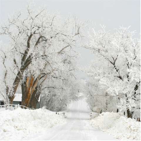 Winter Snow Storm