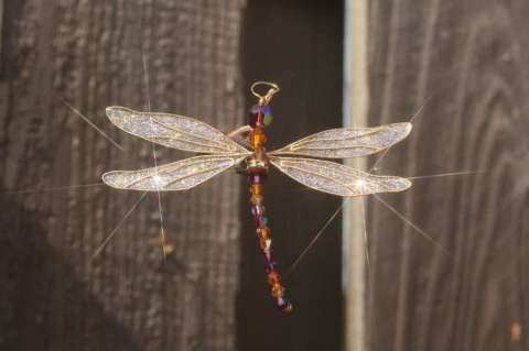 Medium Dragonfly Creation