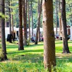 Hiwans' Heritsge Grove