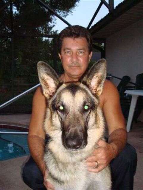 Rick Harringtons Art