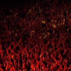 Let me see your hands! (July 2008)