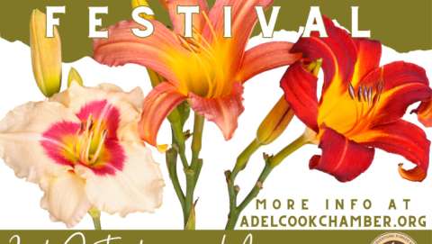 Adel Daylily Festival