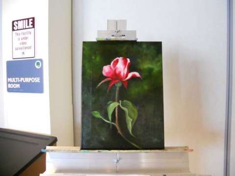 Red Rose for Valentines' Day