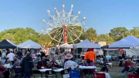 Oldsmar Days and Nights